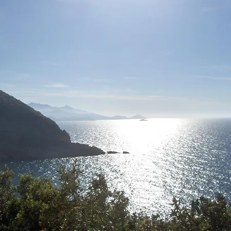 Cota Quinta Rio nell'Elba